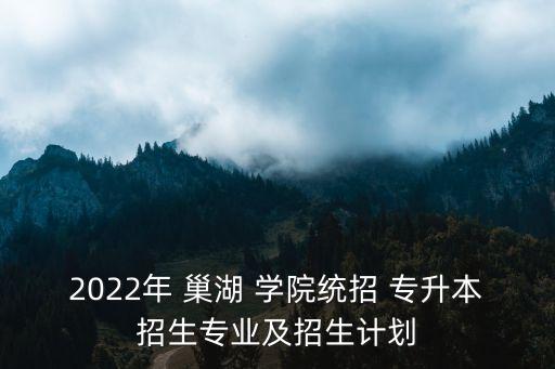 巢湖學(xué)院專升本有補錄的嗎