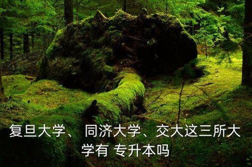復(fù)旦大學(xué)、 同濟(jì)大學(xué)、交大這三所大學(xué)有 專升本嗎