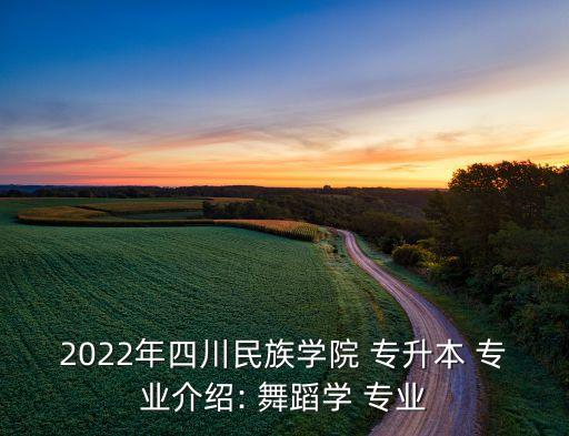 2022年四川民族學(xué)院 專升本 專業(yè)介紹: 舞蹈學(xué) 專業(yè)