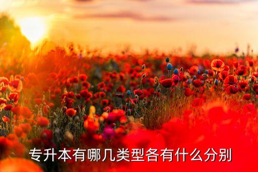  專(zhuān)升本有哪幾類(lèi)型各有什么分別