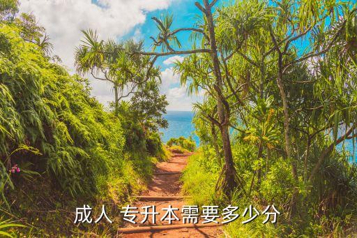 大連專升本成考44中,大連外國語成考專升本分數(shù)線