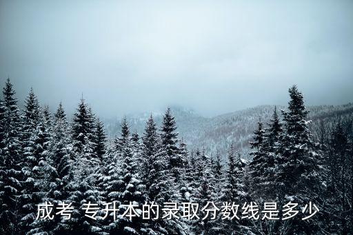 成考專(zhuān)升本要多少分