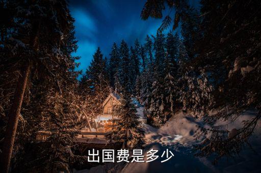 出國費(fèi)是多少