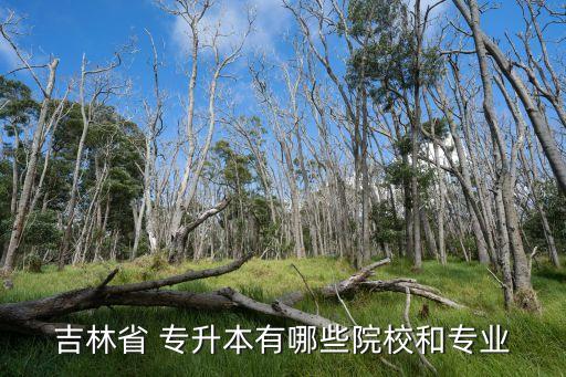 長春金融高等?？茖W(xué)校專升本的學(xué)校