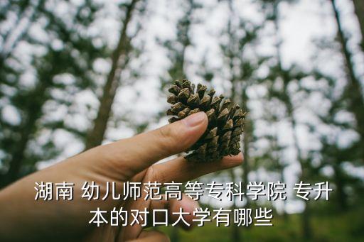  湖南 幼兒師范高等?？茖W(xué)院 專升本的對口大學(xué)有哪些
