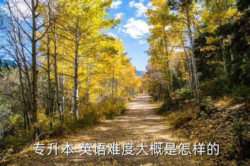  專升本 英語(yǔ)難度大概是怎樣的