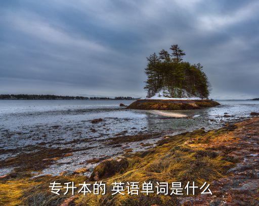 專升本 用英語(yǔ)