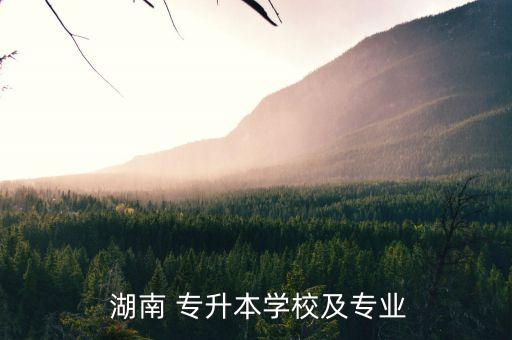  湖南 專升本學校及專業(yè)