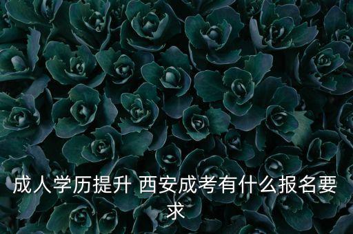 西安自考專升本培訓,西安專升本報班培訓哪個好