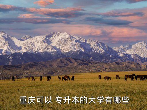  重慶可以 專升本的大學有哪些