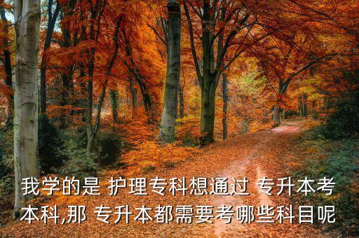 我學(xué)的是 護(hù)理專科想通過 專升本考本科,那 專升本都需要考哪些科目呢