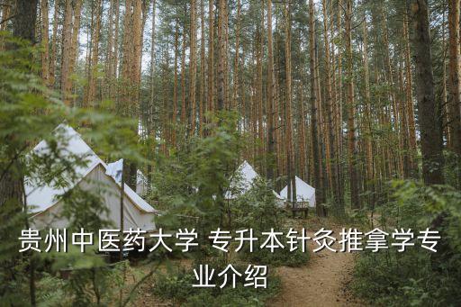 貴州中醫(yī)藥大學(xué) 專升本針灸推拿學(xué)專業(yè)介紹