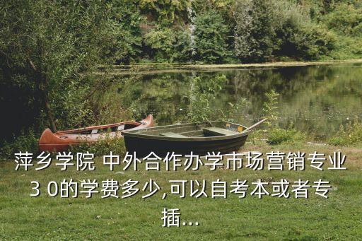 萍鄉(xiāng)學(xué)院 中外合作辦學(xué)市場營銷專業(yè)3 0的學(xué)費(fèi)多少,可以自考本或者專插...