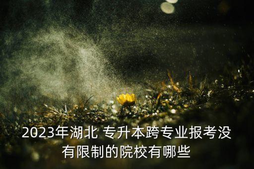 2023年湖北 專(zhuān)升本跨專(zhuān)業(yè)報(bào)考沒(méi)有限制的院校有哪些