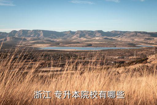 浙江理工大學(xué)專(zhuān)升本函授