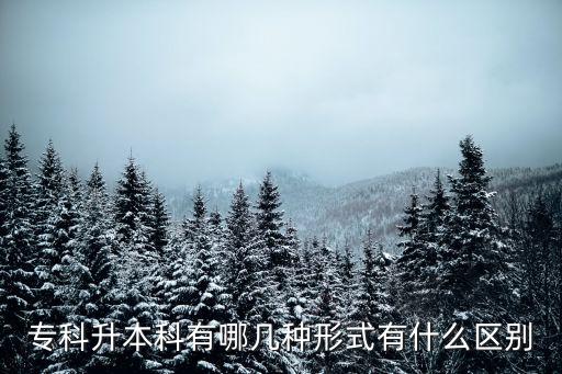 ?？粕究朴心膸追N形式有什么區(qū)別