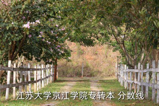  江蘇大學(xué)京江學(xué)院專轉(zhuǎn)本 分?jǐn)?shù)線