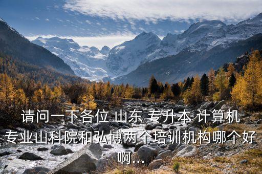 請問一下各位 山東 專升本 計算機專業(yè)山科院和弘博兩個培訓機構哪個好啊...