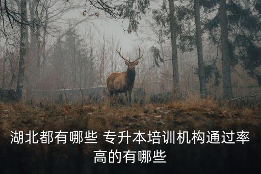 武漢專升本包過(guò)