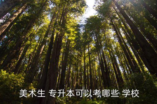  美術(shù)生 專(zhuān)升本可以考哪些 學(xué)校