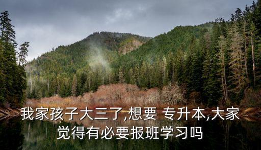我家孩子大三了,想要 專(zhuān)升本,大家覺(jué)得有必要報(bào)班學(xué)習(xí)嗎