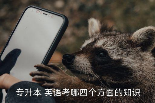  專升本 英語(yǔ)考哪四個(gè)方面的知識(shí)