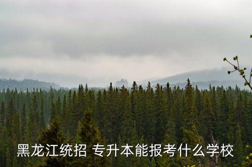 黑龍江統(tǒng)招 專升本能報(bào)考什么學(xué)校