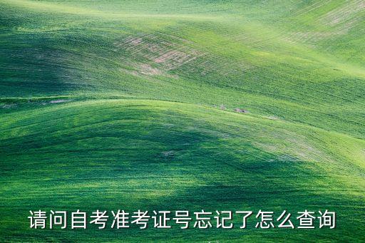 請問自考準考證號忘記了怎么查詢