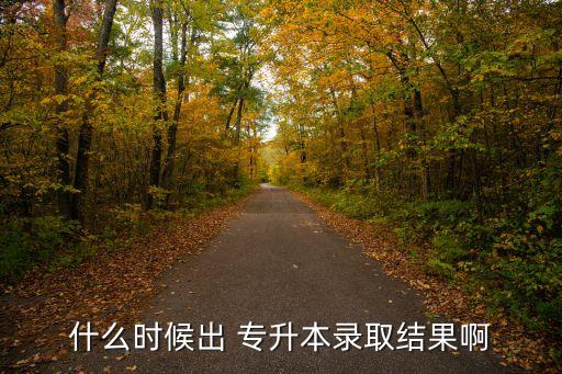 什么時(shí)候出 專升本錄取結(jié)果啊