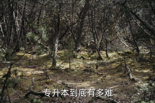 統(tǒng)招專(zhuān)升本理科難嗎