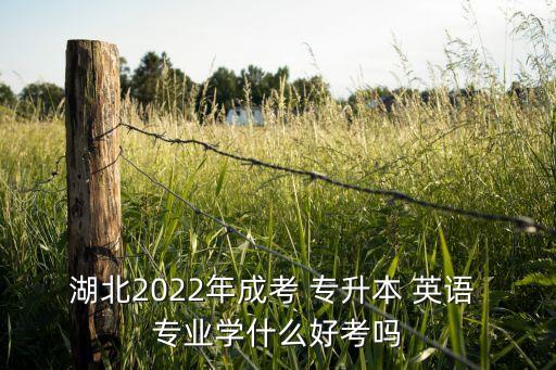 湖北2022年成考 專升本 英語 專業(yè)學什么好考嗎