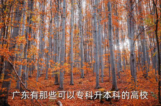 廣東有那些可以專(zhuān)科升本科的高校