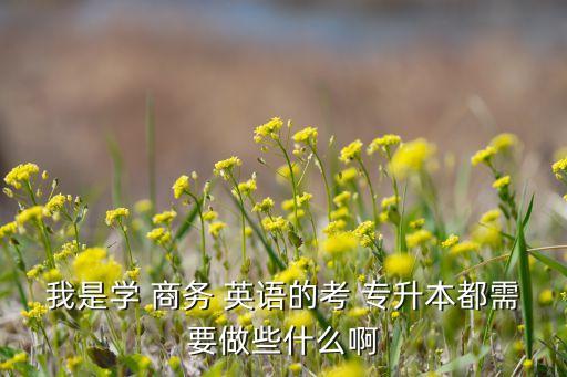 我是學(xué) 商務(wù) 英語(yǔ)的考 專升本都需要做些什么啊