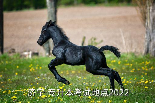 山東濟寧的專升本學校,濟寧職業(yè)技術學院專升本可以考哪些學校