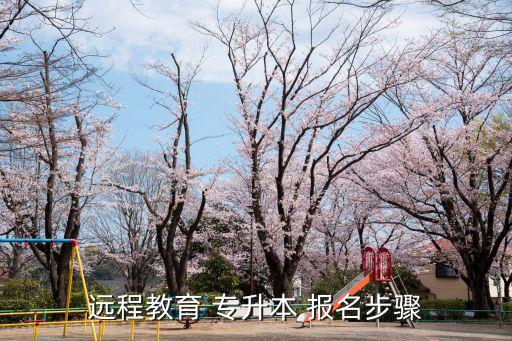 遠(yuǎn)程教育 專升本 報(bào)名步驟