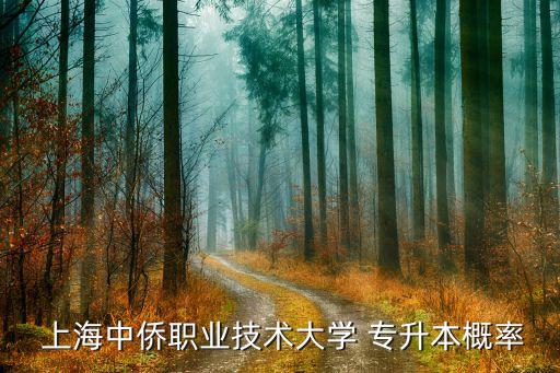  上海中僑職業(yè)技術大學 專升本概率