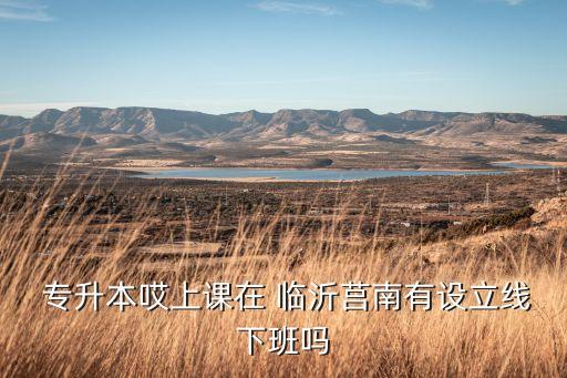  專升本哎上課在 臨沂莒南有設(shè)立線下班嗎