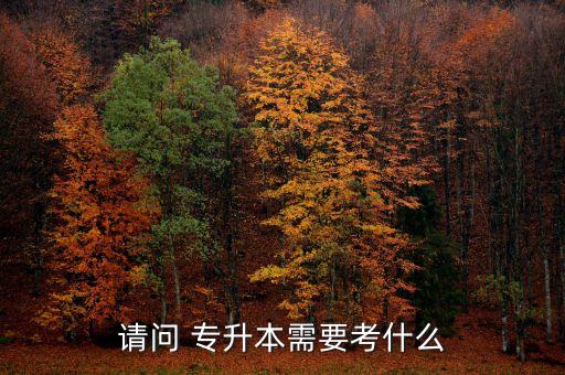 請問 專升本需要考什么
