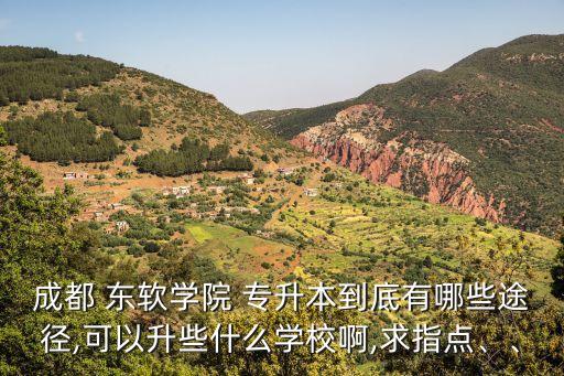成都 東軟學(xué)院 專升本到底有哪些途徑,可以升些什么學(xué)校啊,求指點、、