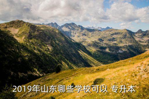 2019年山東哪些學?？梢?專升本