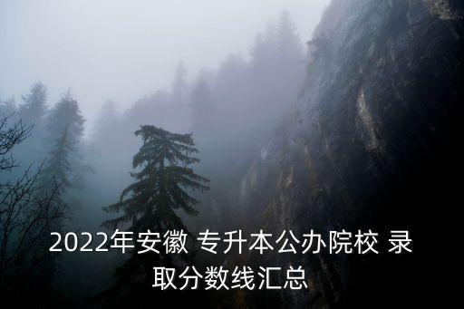 蚌埠醫(yī)學(xué)院專(zhuān)升本錄取通知