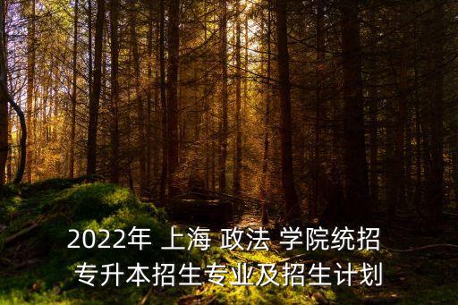 2022年 上海 政法 學院統(tǒng)招 專升本招生專業(yè)及招生計劃