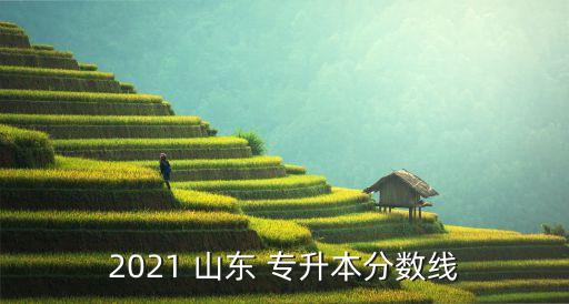 2021 山東 專升本分數(shù)線