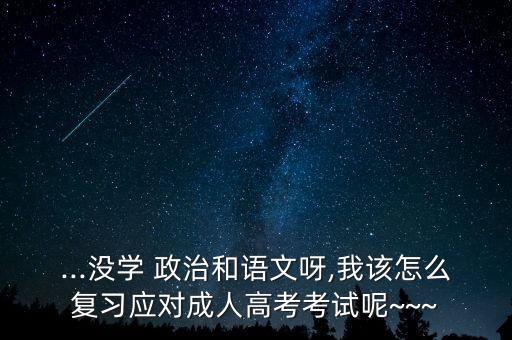 成考專升本的政治怎么學(xué)