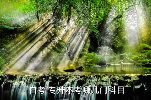 自考專升本考試內(nèi)容,廣東自考專升本考試時間