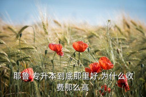  耶魯 專升本到底那里好,為什么收費那么高