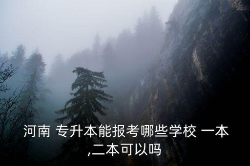  河南 專升本能報考哪些學校 一本,二本可以嗎