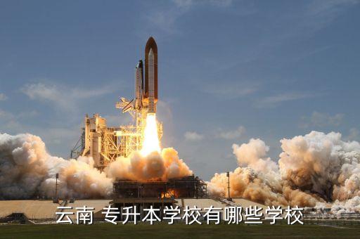 滇西科技師范學院2018年專升本錄取名單