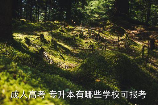 成人高考 專升本有哪些學(xué)?？蓤?bào)考