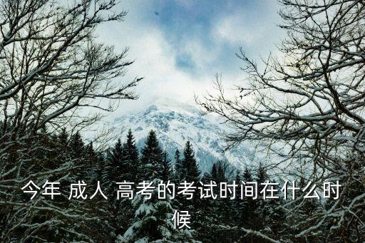 今年 成人 高考的考試時(shí)間在什么時(shí)候
